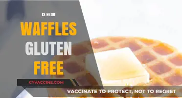 Are Eggo Waffles Gluten-Free? A Complete Guide for Celiac Sufferers