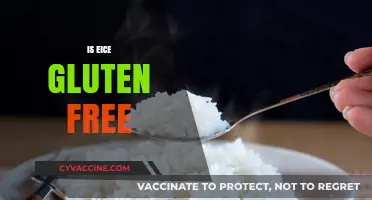 Is Rice Gluten-Free? A Clear Answer for Your Dietary Needs