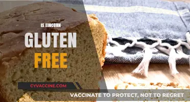 Is Einkorn Gluten-Free? Unraveling the Ancient Grain Mystery