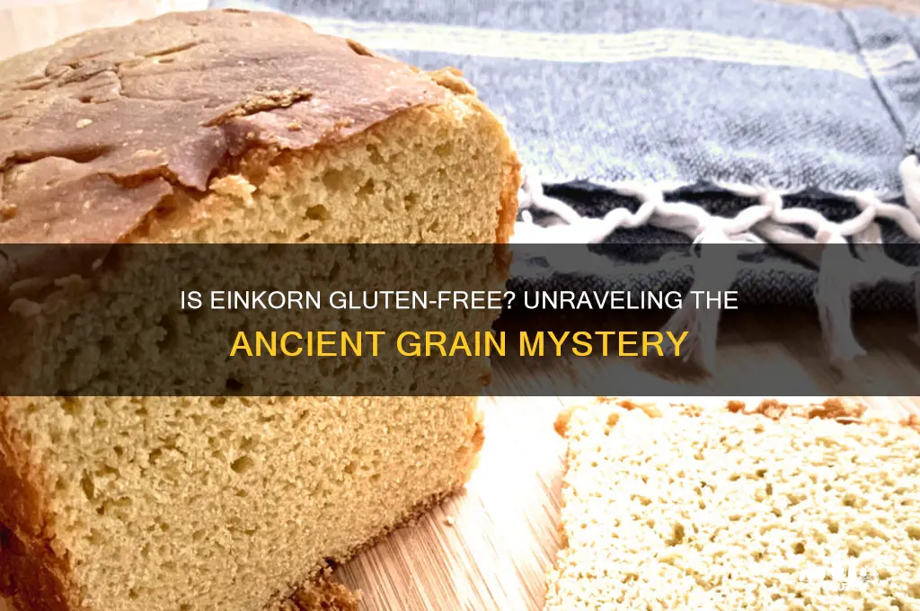 is eincorn gluten free