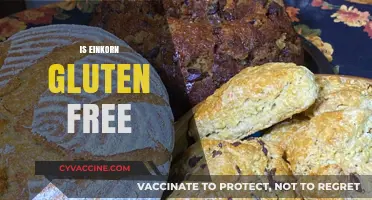 Is Einkorn Gluten-Free? Unraveling the Ancient Grain's Gluten Mystery