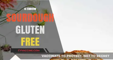 Is Einkorn Sourdough Gluten-Free? Unraveling the Ancient Grain Mystery