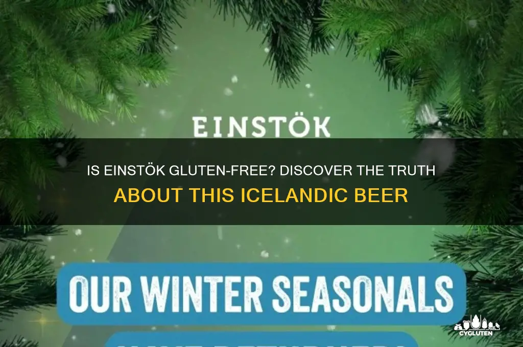 is einstok gluten-free