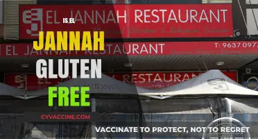 Is El Jannah Gluten-Free? A Complete Guide to Their Menu