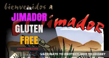 Is El Jimador Gluten-Free? A Tequila Lover's Guide to Safety
