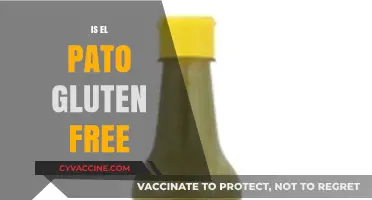 Is El Pato Gluten Free? A Comprehensive Guide for Celiac Diners