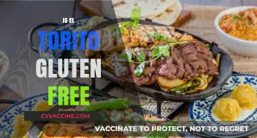 Is El Torito Gluten-Free? A Guide to Safe Dining Options