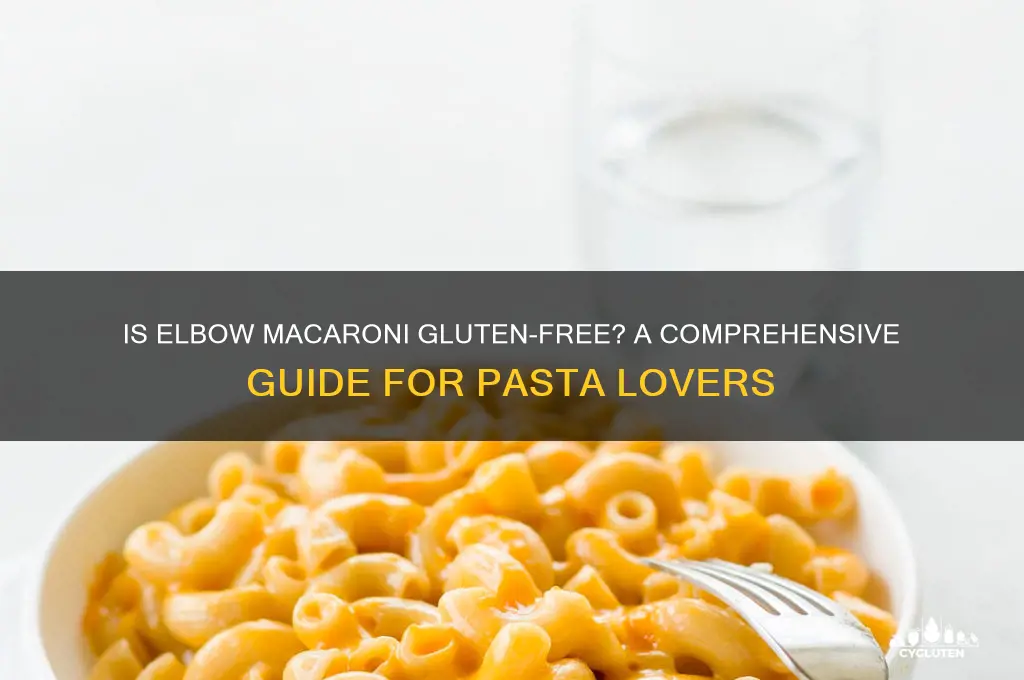 is elbow macaroni gluten free