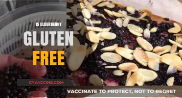 Is Elderberry Gluten-Free? Uncovering the Truth for Dietary Needs