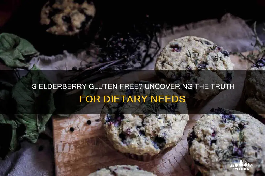 is elderberry gluten free