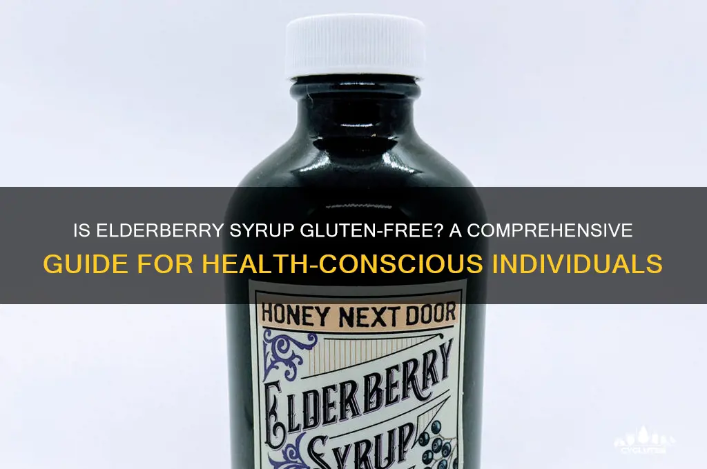 is elderberry syrup gluten free