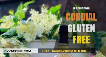 Is Elderflower Cordial Gluten-Free? A Comprehensive Guide for Dietary Needs