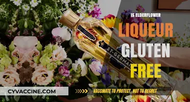 Is Elderflower Liqueur Gluten-Free? A Complete Guide for Drinkers