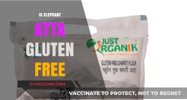 Is Elephant Atta Gluten-Free? A Comprehensive Guide for Dietary Needs