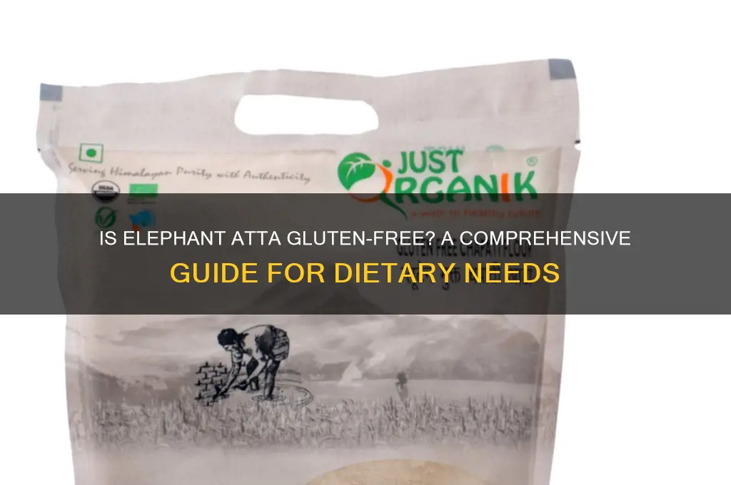 is elephant atta gluten free