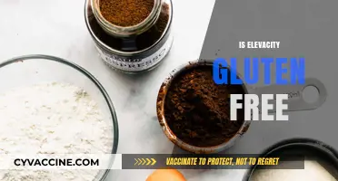 Is Elevacity Gluten-Free? Unveiling the Truth About Its Ingredients