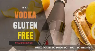Is Elit Vodka Gluten-Free? A Complete Guide for Vodka Lovers