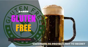 Is Elmiron Gluten-Free? A Comprehensive Guide for Patients