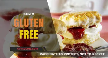 Is Elmlea Gluten-Free? A Comprehensive Guide to Your Dietary Needs