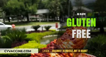 Is Elote Gluten-Free? A Complete Guide to Mexican Street Corn