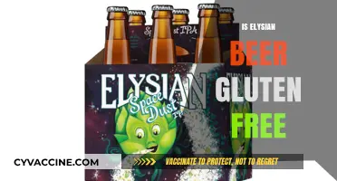 Is Elysian Beer Gluten-Free? A Detailed Guide for Beer Lovers