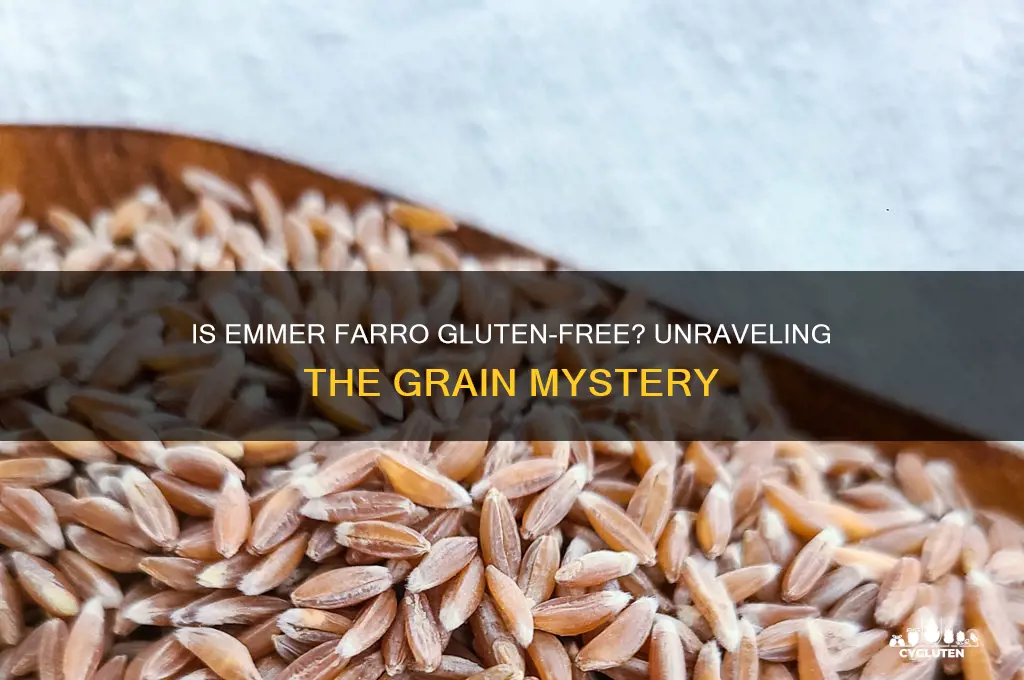 is emmer farro gluten free