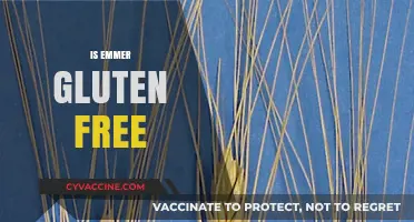Is Emmer Gluten Free? Unraveling the Ancient Grain Mystery