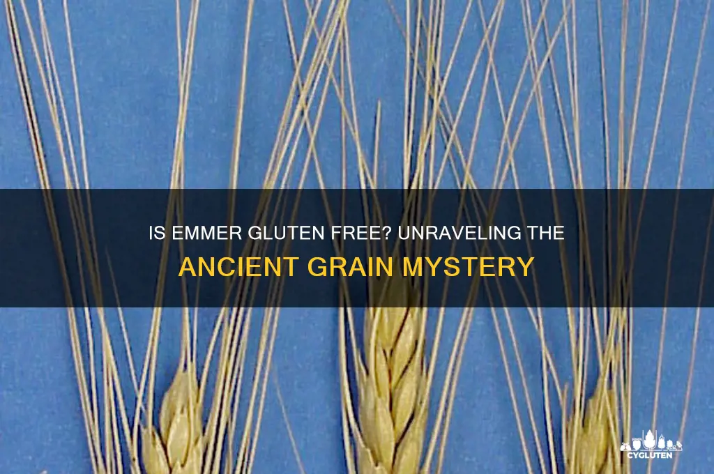is emmer gluten free