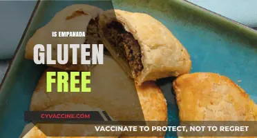 Are Empanadas Gluten-Free? A Complete Guide to Ingredients and Options