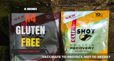 Is Endurox R4 Gluten Free? A Comprehensive Guide for Athletes