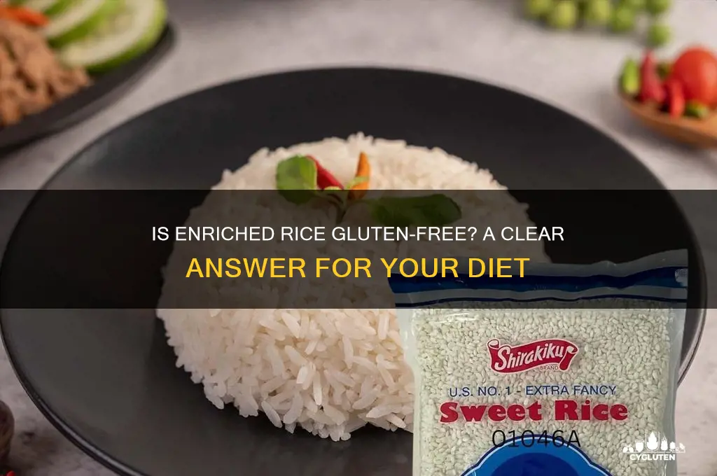 is enriched rice gluten free