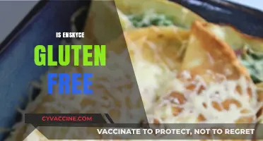 Is Enskyce Gluten-Free? A Comprehensive Guide to Your Concerns