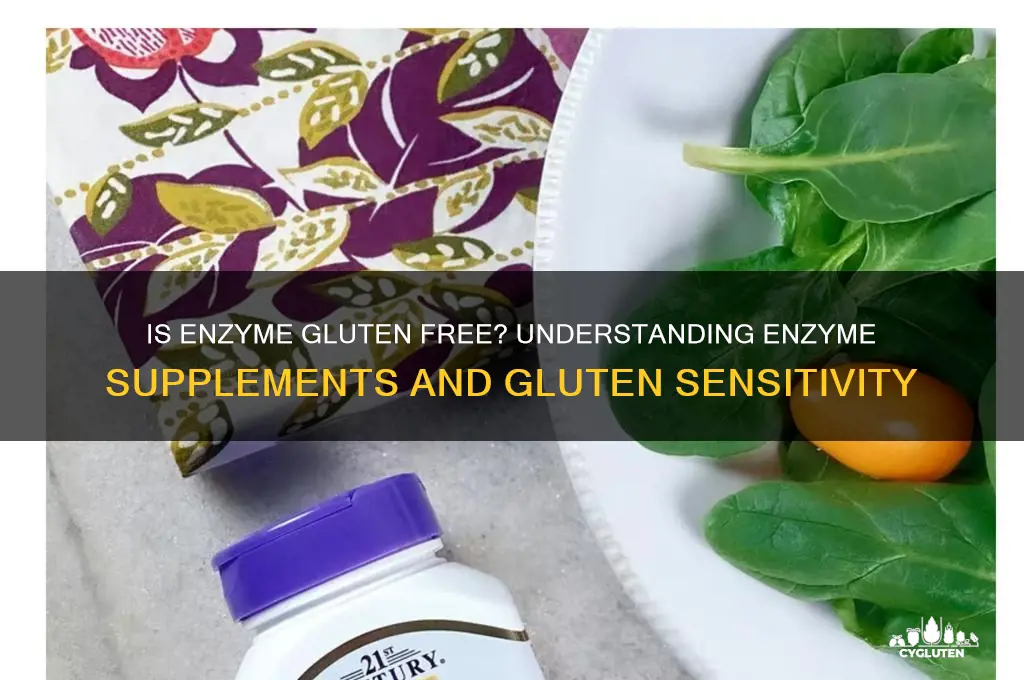 is enzyme gluten free
