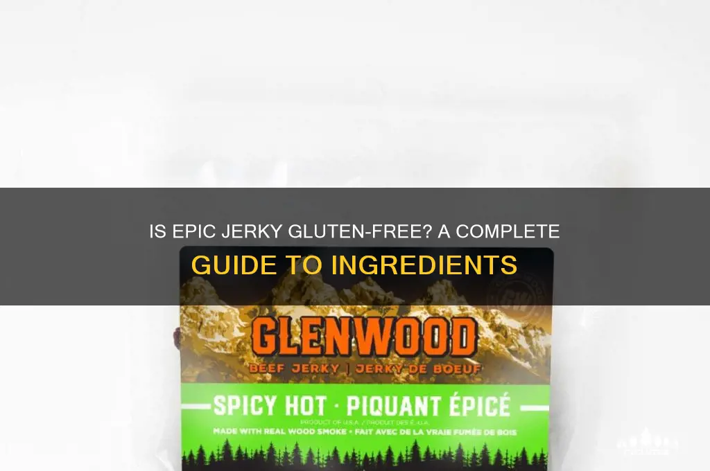 is epic jerky gluten free