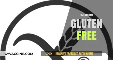 Is Equetro Gluten-Free? A Comprehensive Guide for Patients
