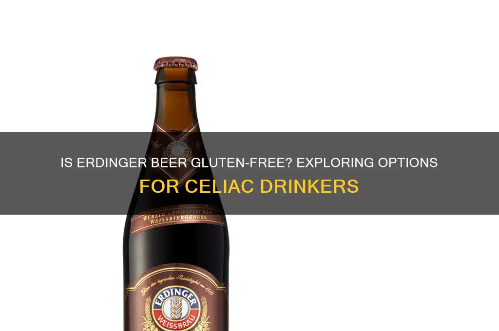is erdinger beer gluten free