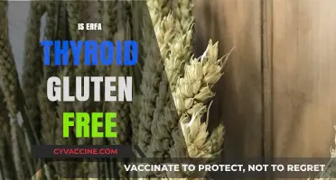Is ERFA Thyroid Gluten-Free? A Comprehensive Guide for Patients