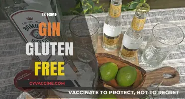 Is Esme Gin Gluten-Free? A Detailed Look at Its Ingredients