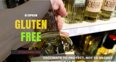 Is Espolon Gluten Free? A Complete Guide to Your Tequila Choice