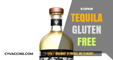 Is Espolon Tequila Gluten-Free? A Complete Guide for Tequila Lovers