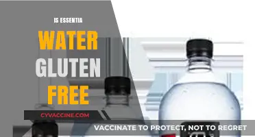Is Essentia Water Gluten-Free? A Clear Answer for Health-Conscious Consumers
