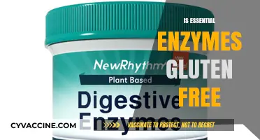 Essential Enzymes Gluten-Free Status: What You Need to Know