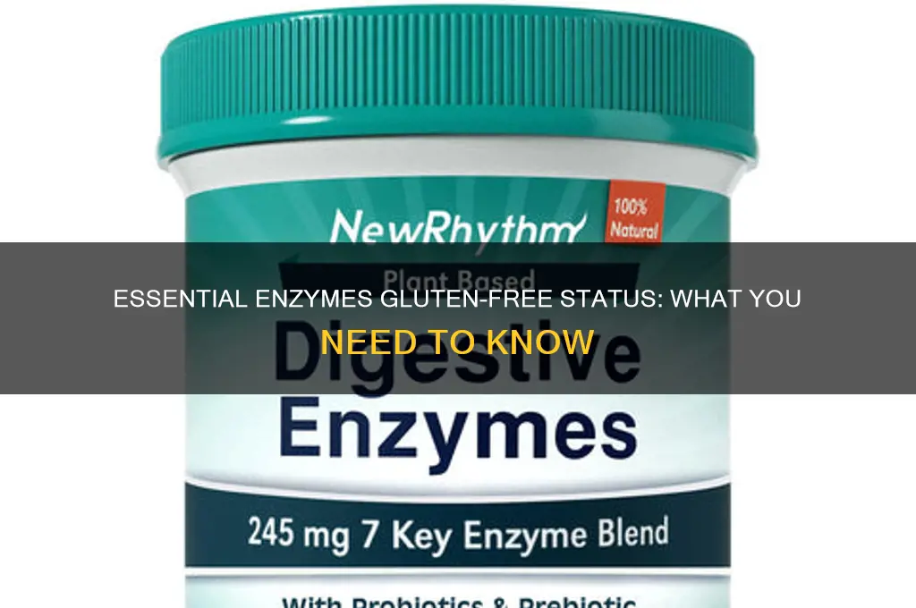 is essential enzymes gluten free