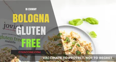 Is EssKay Bologna Gluten-Free? A Complete Guide for Dietary Needs