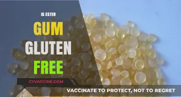 Is Ester Gum Gluten-Free? A Comprehensive Guide for Dietary Needs