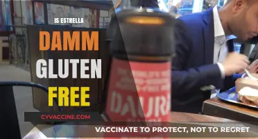 Is Estrella Damm Gluten-Free? A Detailed Look at the Beer