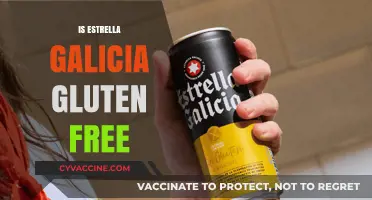 Is Estrella Galicia Gluten-Free? A Beer Lover's Guide