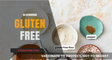 Is Estrovive Gluten-Free? A Comprehensive Guide to Ingredients and Safety
