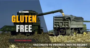 Is Ethanol Gluten-Free? Understanding Its Production and Safety