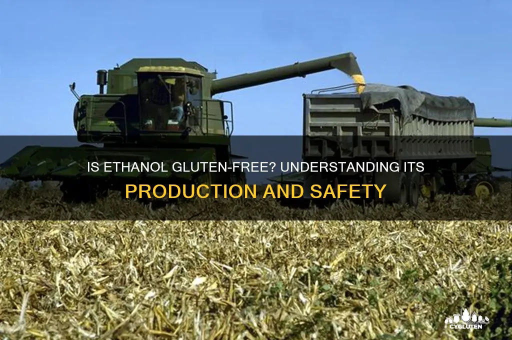 is ethanol gluten free